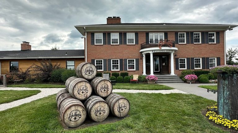 Heading Back to Holladay: Anticipating the Next Ancient Cave Release